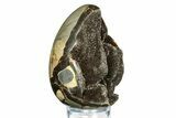 Septarian Dragon Egg Geode - Sparkly Black Crystals #308823-2